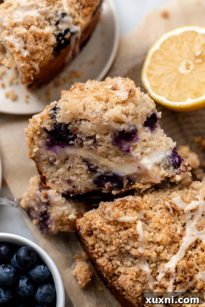 lemon blueberry coffee cake leaning on another slice