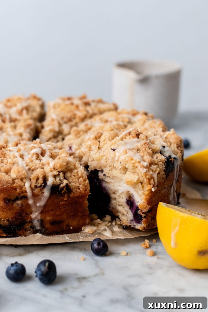 sliced blueberry coffee cake on a cooling rack
