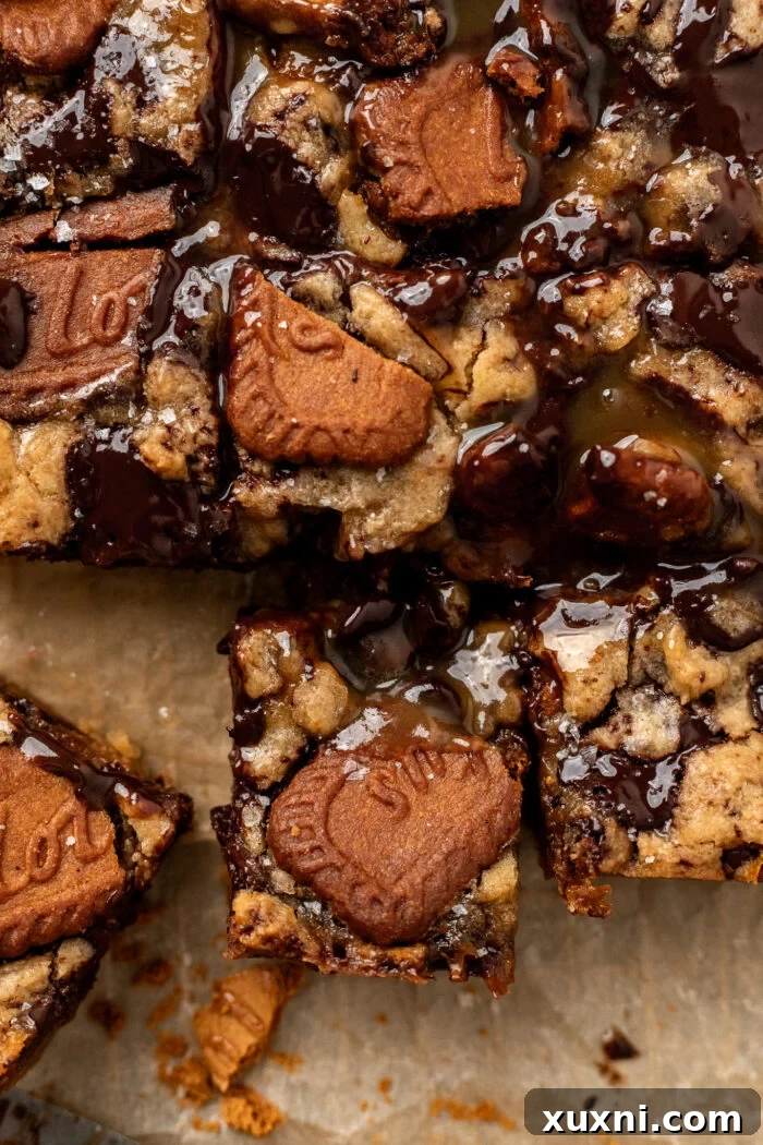 Heavenly Vegan Biscoff Butterscotch Bars 4 gooey butterscotch cookie bars on parchment paper, close up