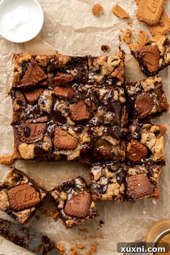 Heavenly Vegan Biscoff Butterscotch Bars 10 sliced vegan butterscotch cookie bars after cooling