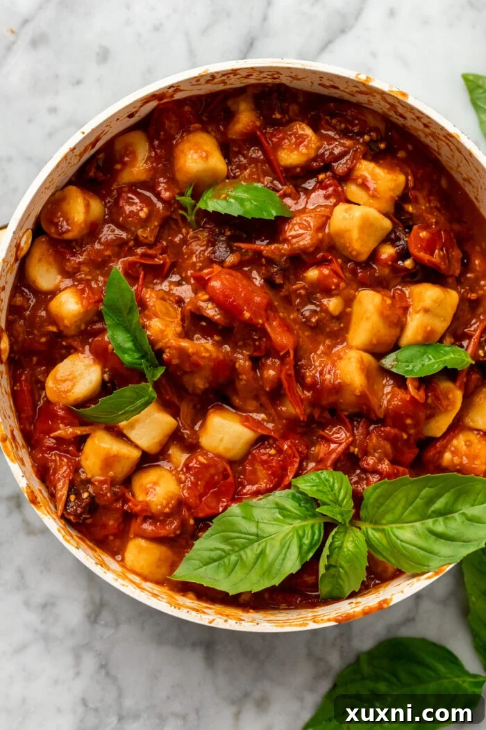 Fresh cherry tomato sauce in a pan with fluffy homemade gnocchi, garnished with basil.