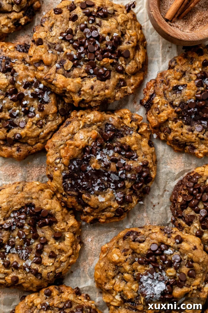 Freshly baked pumpkin oatmeal chocolate chip cookies on parchment paper