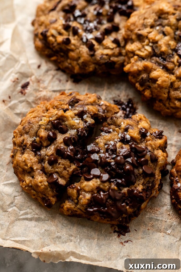A broken open vegan pumpkin oatmeal chocolate chip cookie showcasing its soft interior and chocolate chips