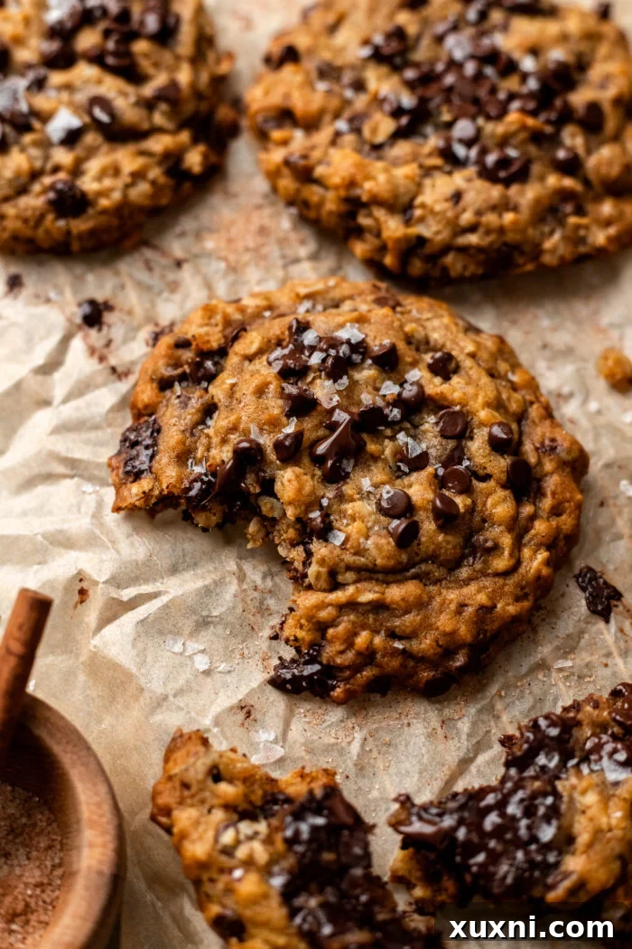 A bitten vegan oatmeal chocolate chip cookie, showing its chewy texture