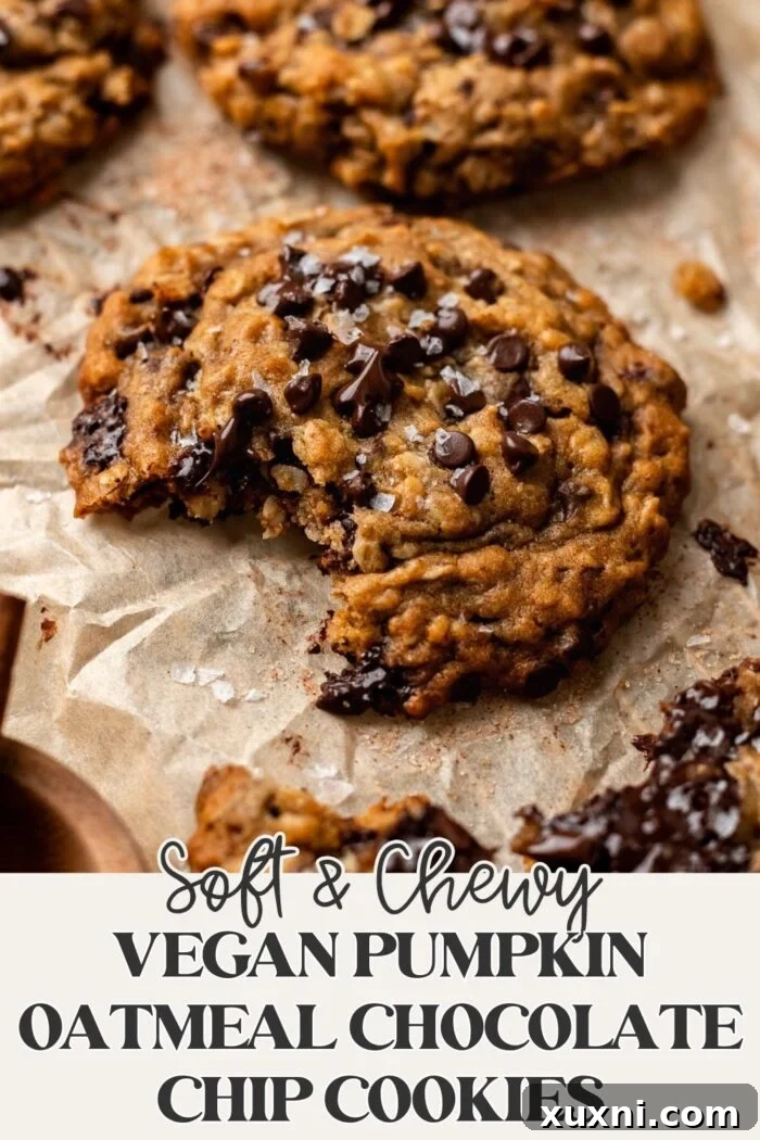 Pinterest graphic for Brown Butter Vegan Pumpkin Oatmeal Chocolate Chip Cookies