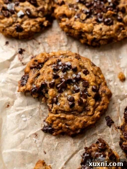 bitten pumpkin oatmeal chocolate chip cookie