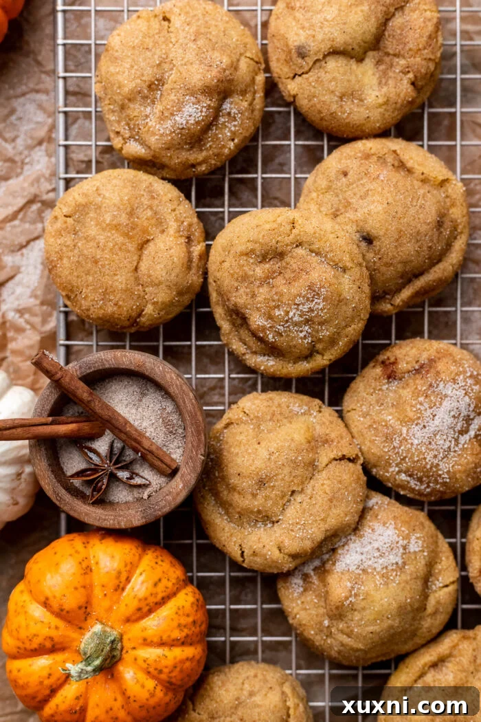 baked cookies on cooling rack
