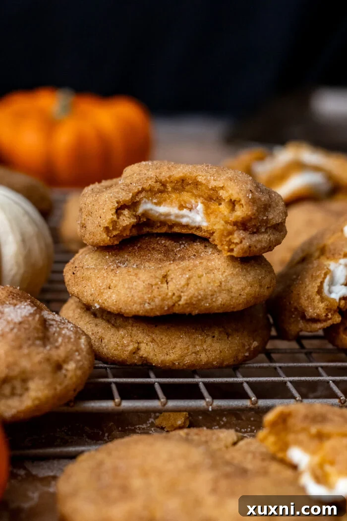 bitten vegan pumpkin cheesecake cookie