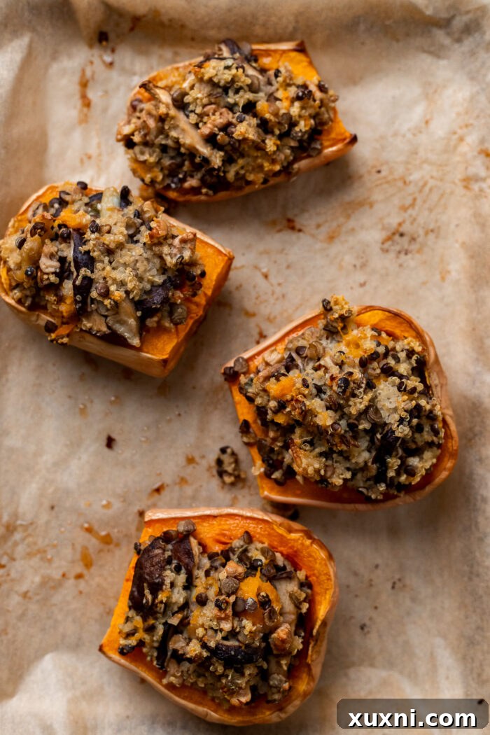 Roasted butternut squash halves, generously stuffed with the lentil quinoa mixture, on a baking sheet before the final bake.