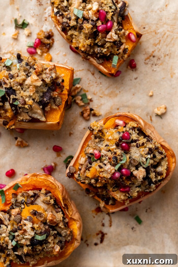 A perfectly roasted butternut squash half, generously stuffed with a golden-brown quinoa and lentil mixture, ready to be served.