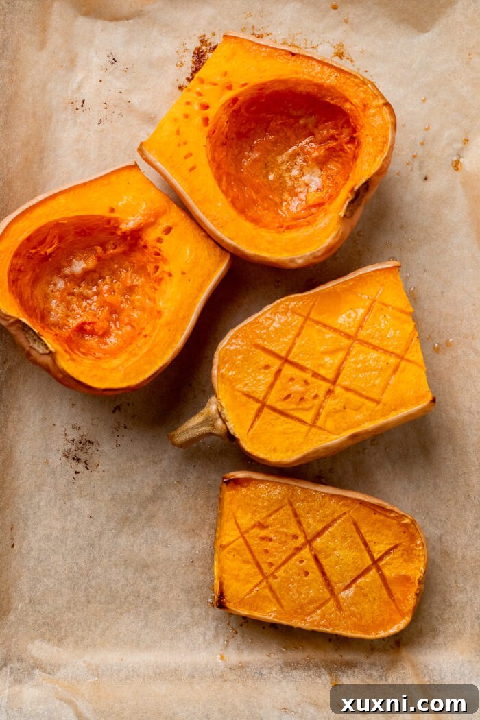 Roasted butternut squash on a baking sheet while quinoa, lentils, and mushrooms are being prepped in the background.