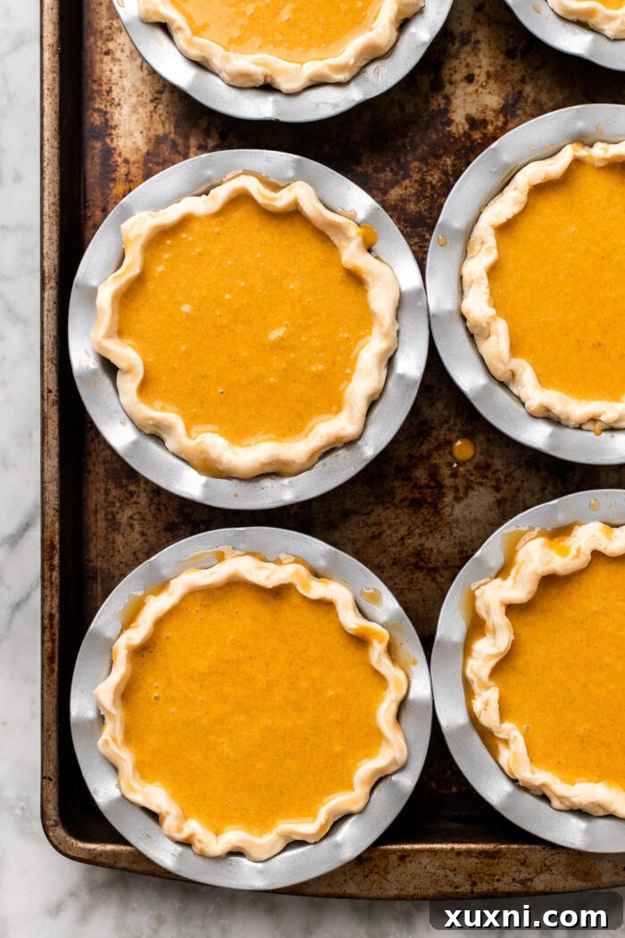 Mini pumpkin pies, freshly filled with creamy pumpkin mixture, with their crust edges brushed with vegan egg wash.