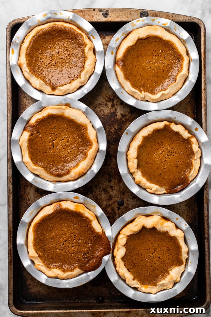 Freshly baked vegan mini pumpkin pies with golden crusts, cooling on a baking sheet.