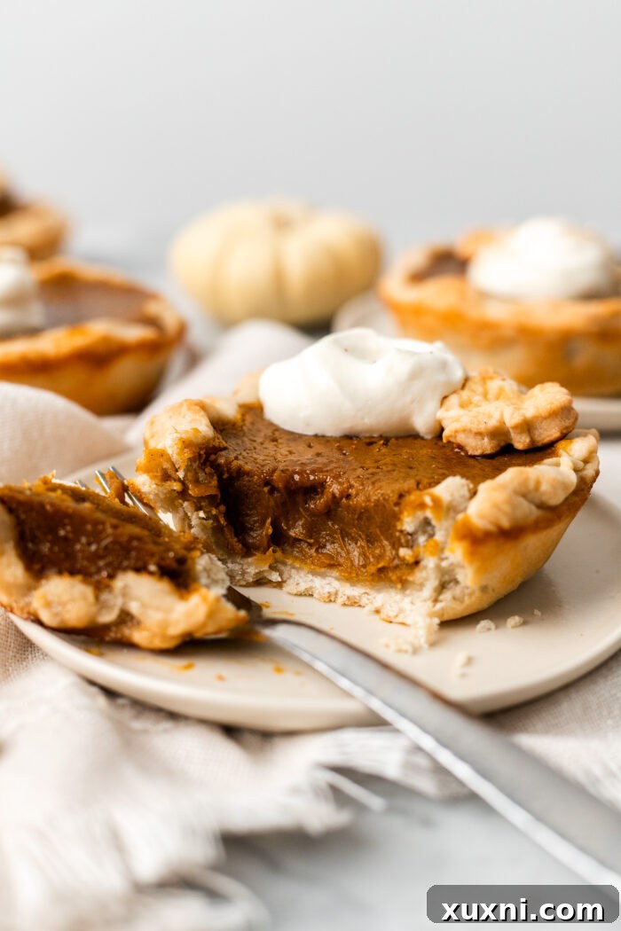 A perfectly baked individual vegan eggnog pumpkin pie, with a slice removed, revealing its smooth, creamy interior.