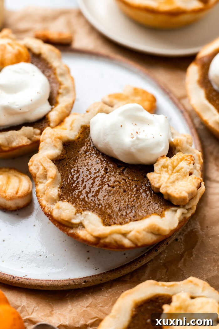 A close-up shot revealing the smooth, golden filling of an individual vegan pumpkin pie, topped with a cloud of dairy-free whipped cream.