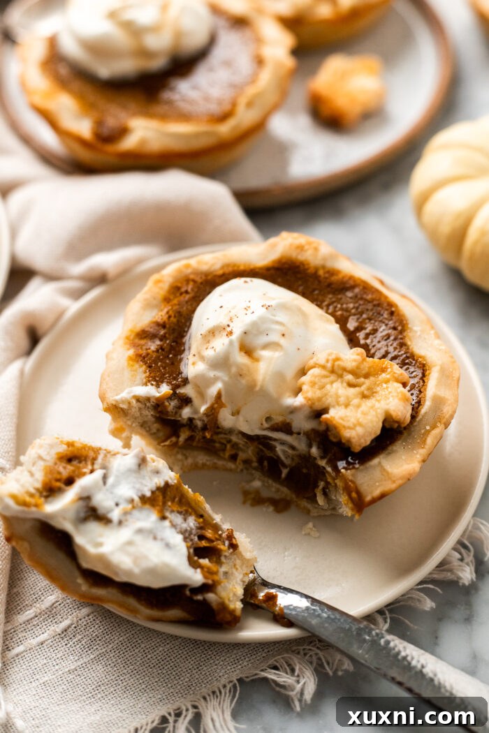 A close-up shot of a vegan mini pumpkin pie, with a bite taken out, revealing its incredibly smooth and creamy texture.