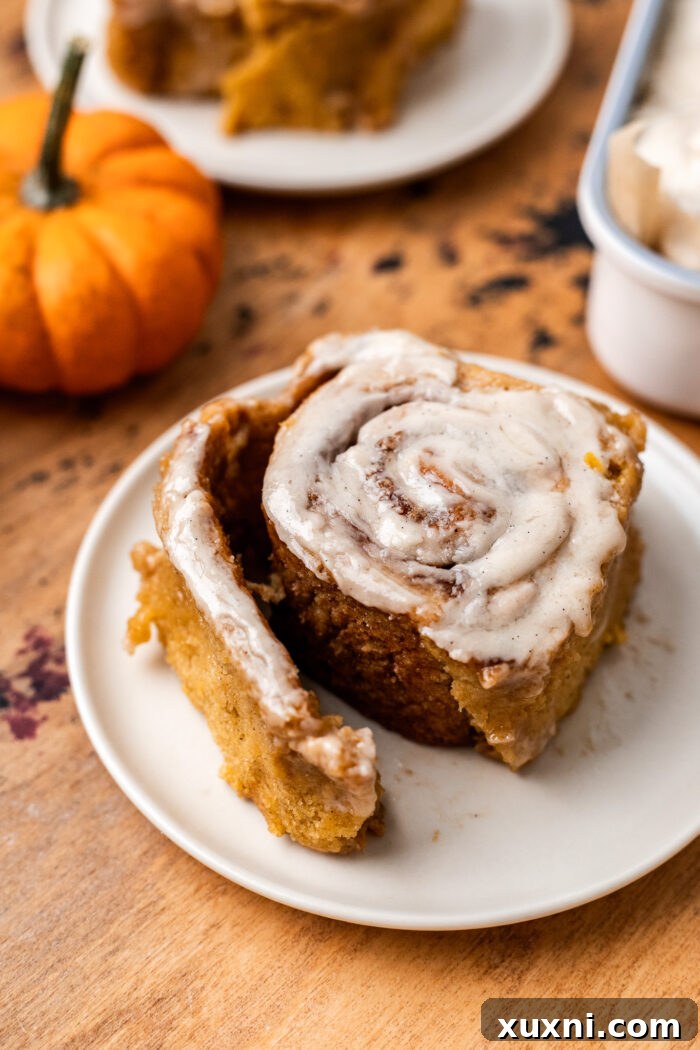 A single gluten-free pumpkin cinnamon roll, beautifully unfurled on a white plate, revealing its intricate spiral and luscious filling.