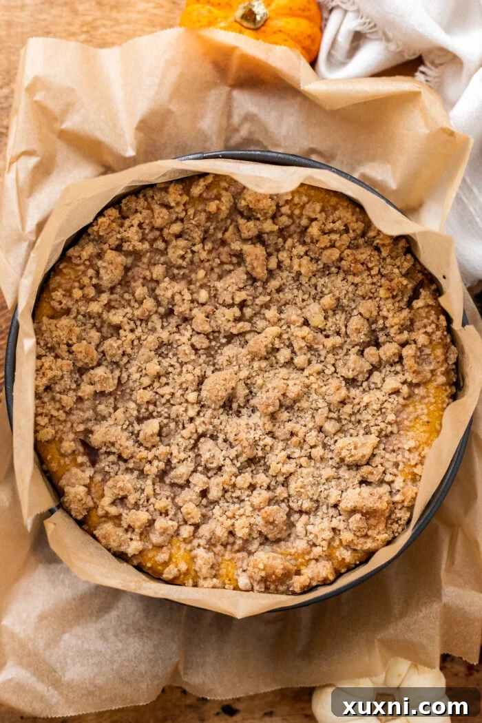 pumpkin cheesecake after baking, cooled