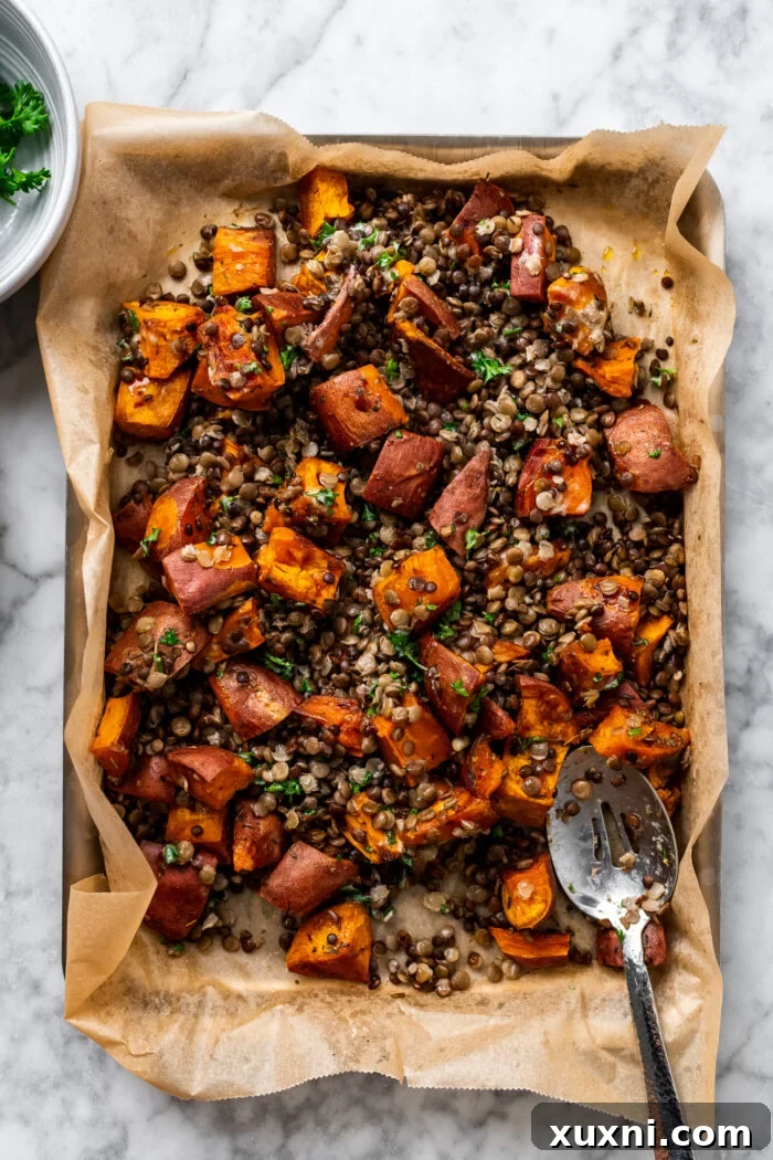 Roasted lentils and sweet potatoes on a baking sheet, lightly tossed with dressing