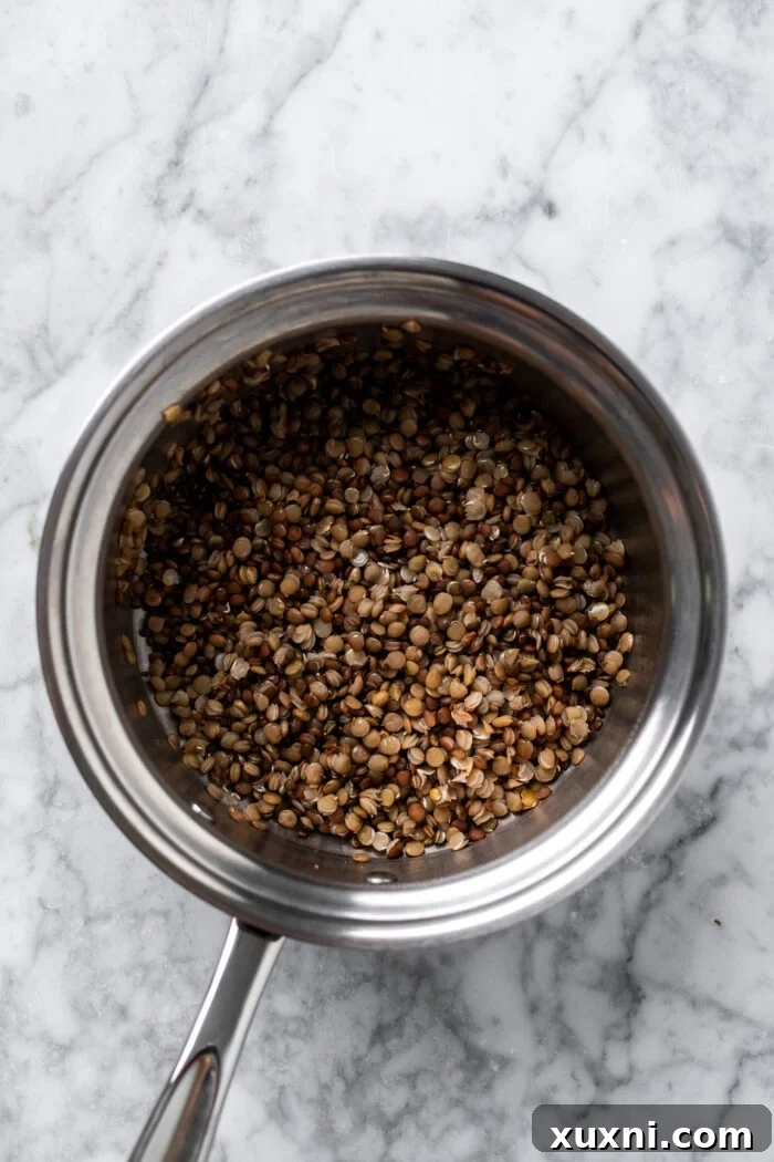 Perfectly cooked lentils in a bowl, ready to be added to the salad