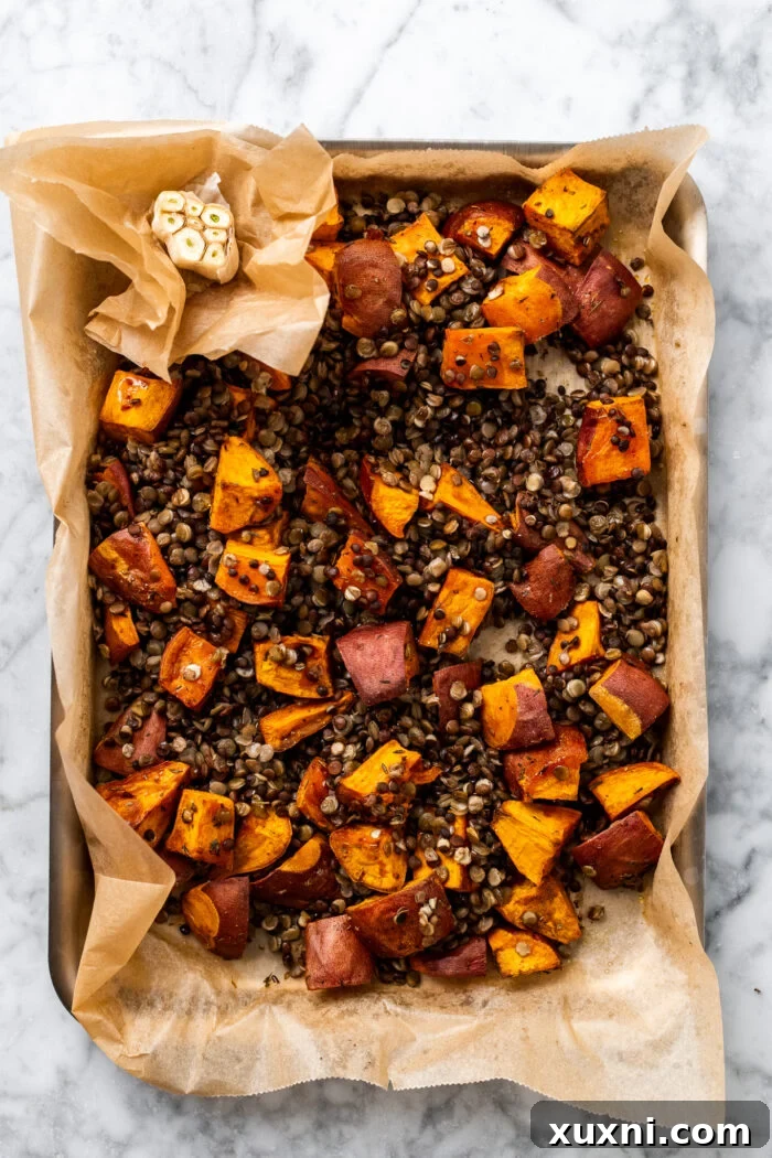 Cooked lentils and prepared garlic bulb added to the baking sheet with partially roasted sweet potatoes