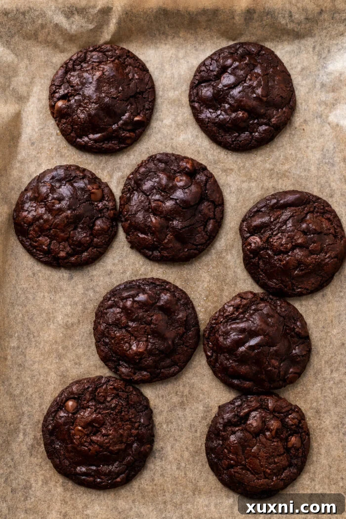 Effortless Fudgy Vegan Brownie Cookies 10 Freshly baked vegan brownie cookies, still warm on the baking sheet