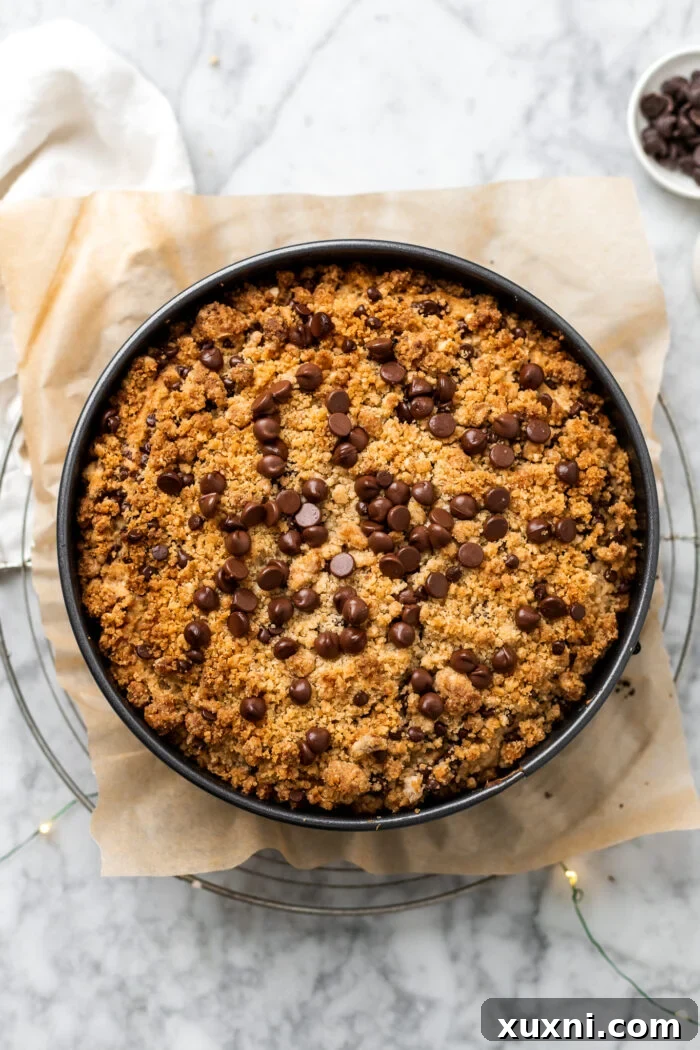 A beautifully baked vegan chocolate chip coffee cake, still in its springform pan, cooling down after being removed from the oven.