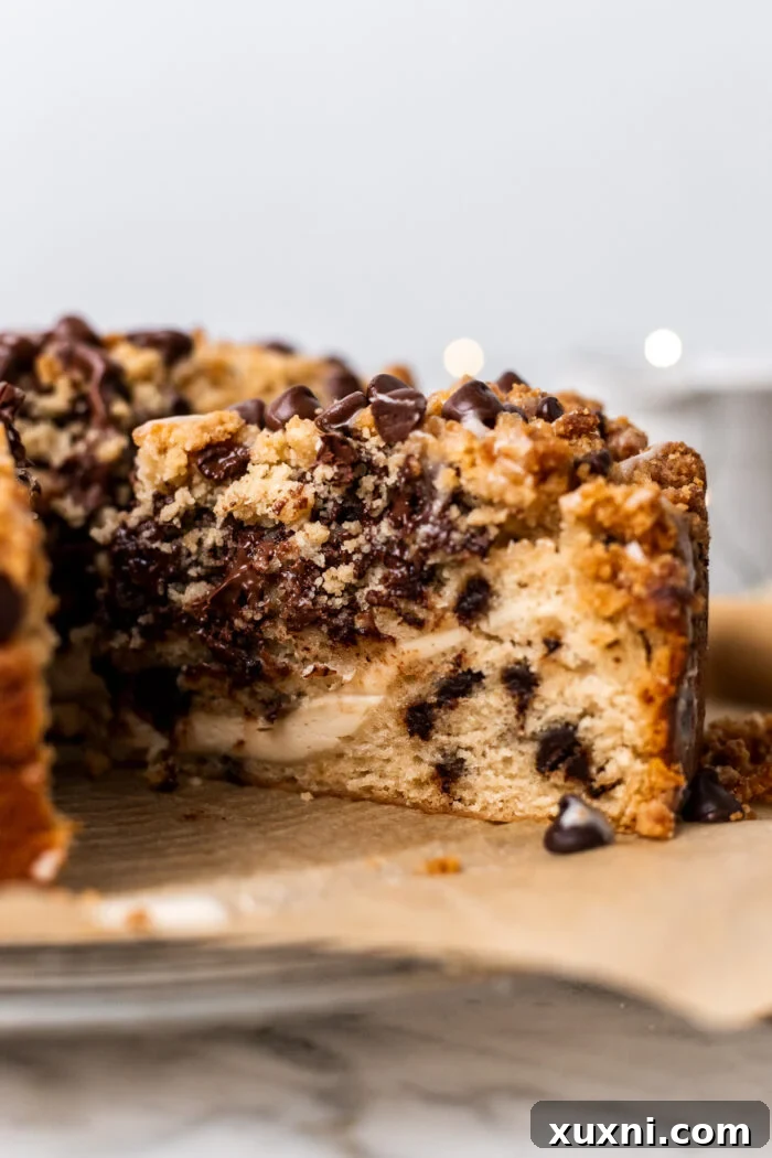 A close-up of a generous slice of vegan chocolate chip coffee cake, with soft lighting in the background creating an inviting atmosphere.
