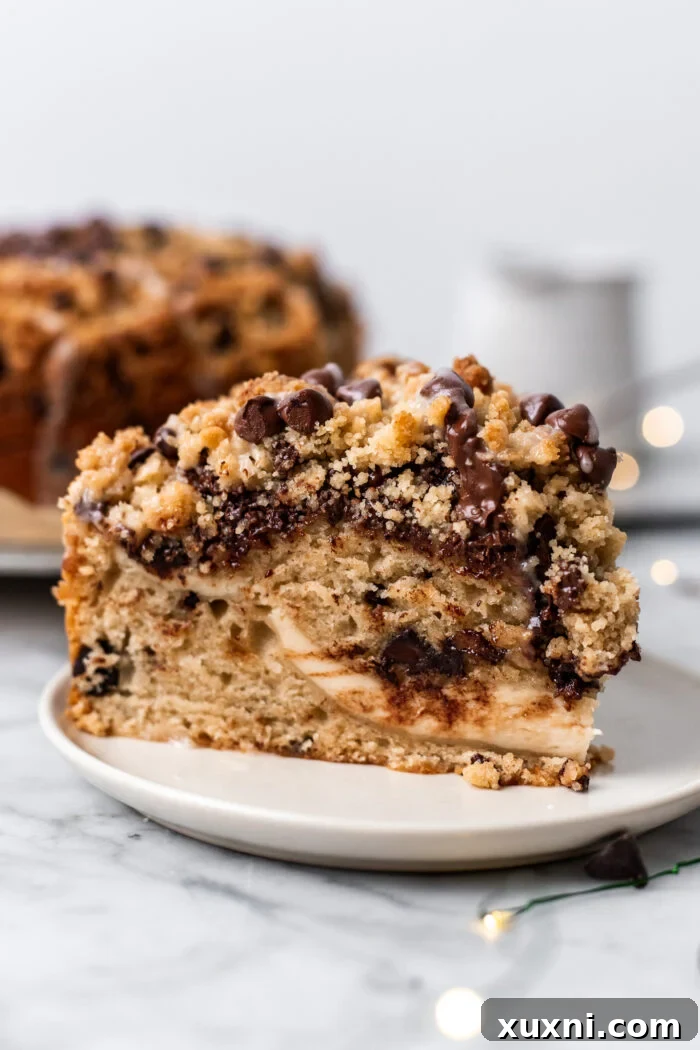 A single, inviting slice of vegan coffee cake, featuring the distinct cream cheese swirl and visible chocolate chips, sits on a white plate, ready to be enjoyed.