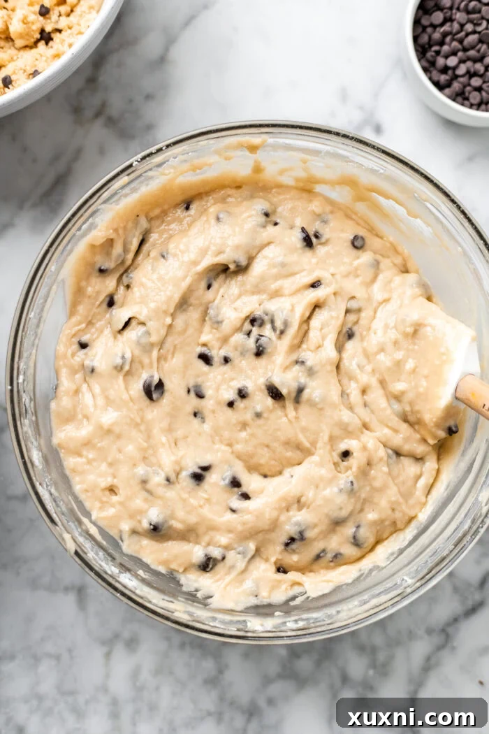 A bowl of rich, smooth chocolate chip coffee cake batter, perfectly mixed and ready for assembly, showcasing its thick consistency.