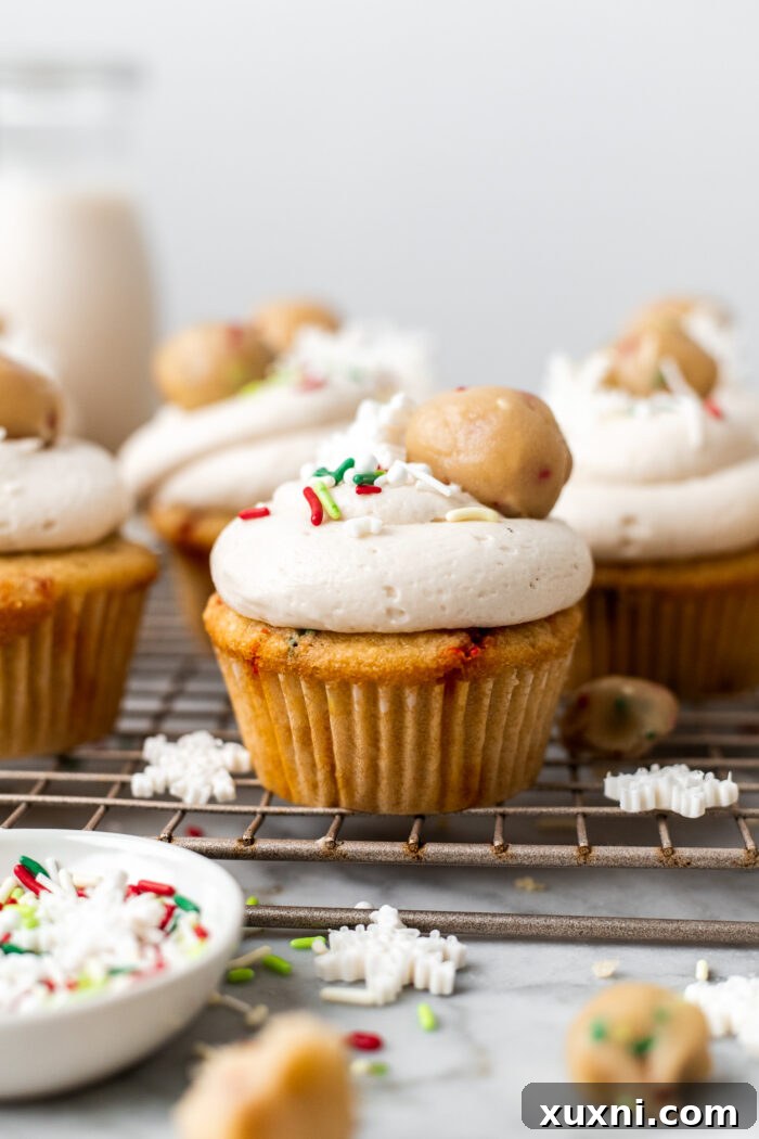 frosted and decorated cupcakes with cookie dough and sprinkles