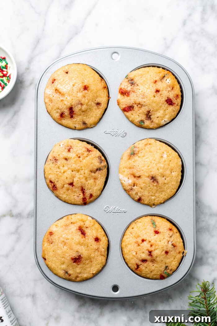 freshly baked cupcakes in a muffin tin