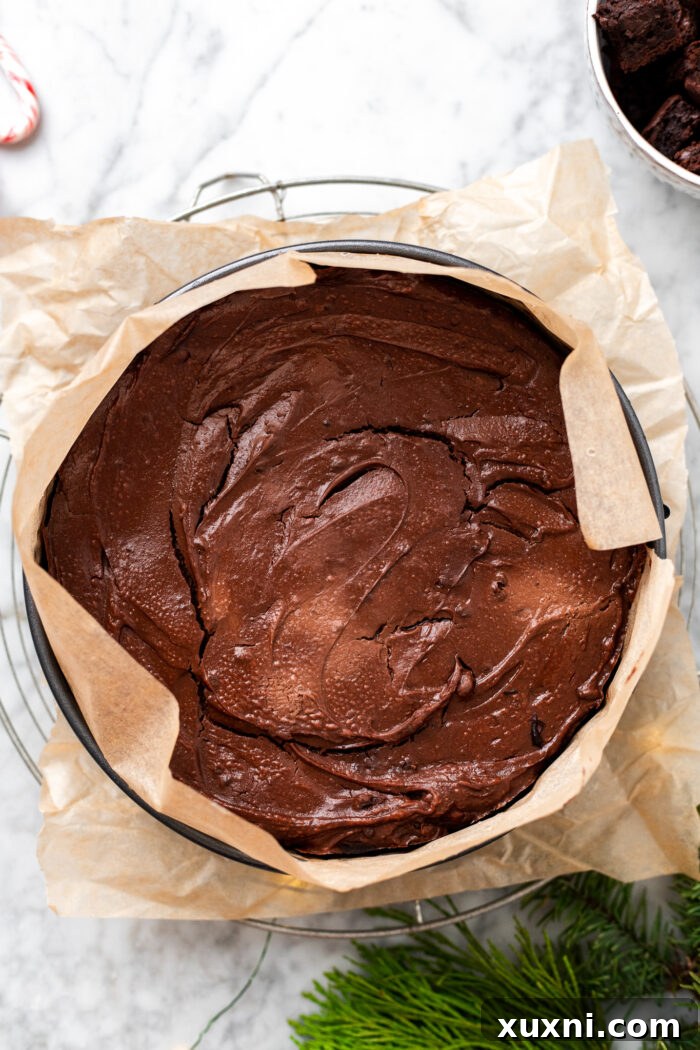 Baked chocolate peppermint brownie cheesecake, still in its springform pan, cooling.