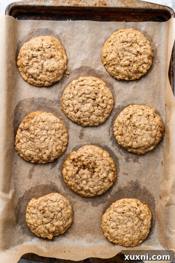 Easy Soft and Chewy Vegan Oatmeal Cream Pies 9 Freshly baked golden brown oatmeal cookies cooling on a wire rack
