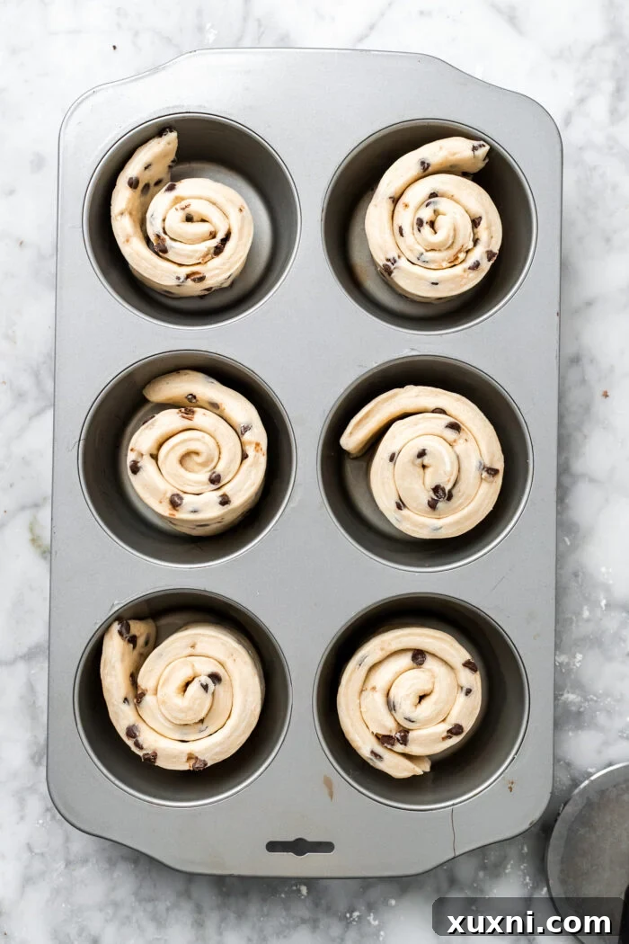cruffins before proofing