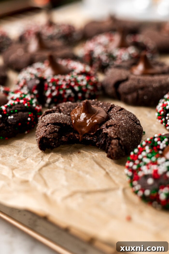A delicious vegan chocolate blossom cookie with a bite taken out, revealing its soft, chewy interior.