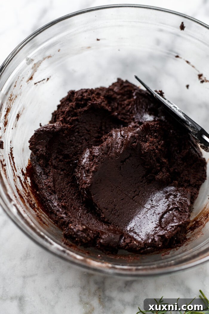 Vegan chocolate blossom cookie dough in a bowl, showing its rich, dark consistency.