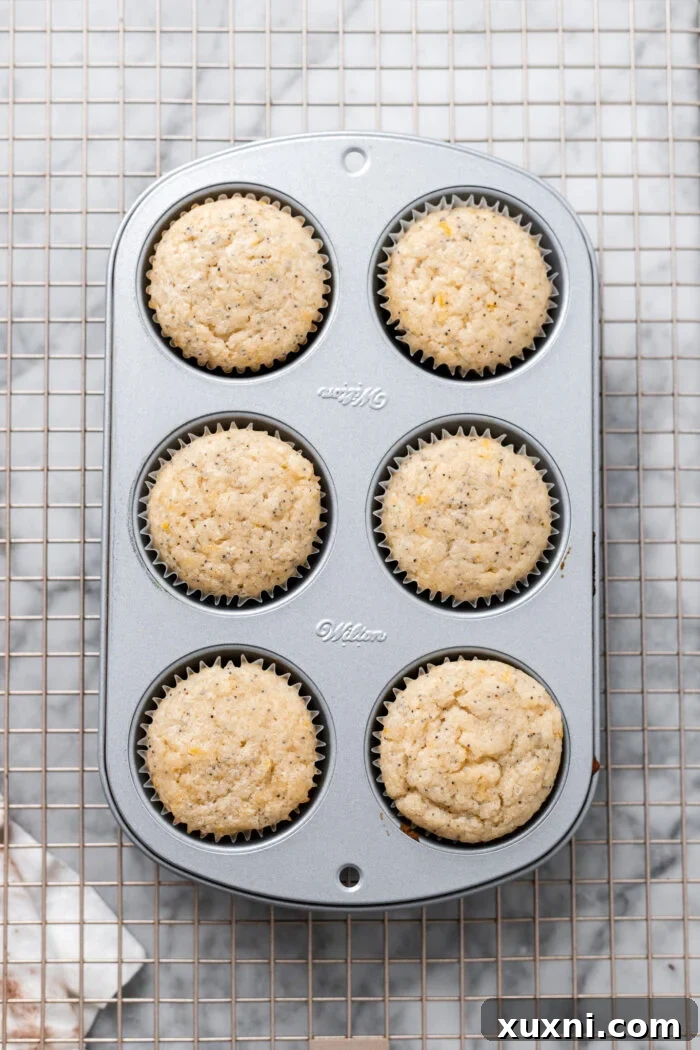 Six perfectly golden-brown vegan lemon cupcakes in their liners, cooling in a cupcake tin, ready for filling and frosting.