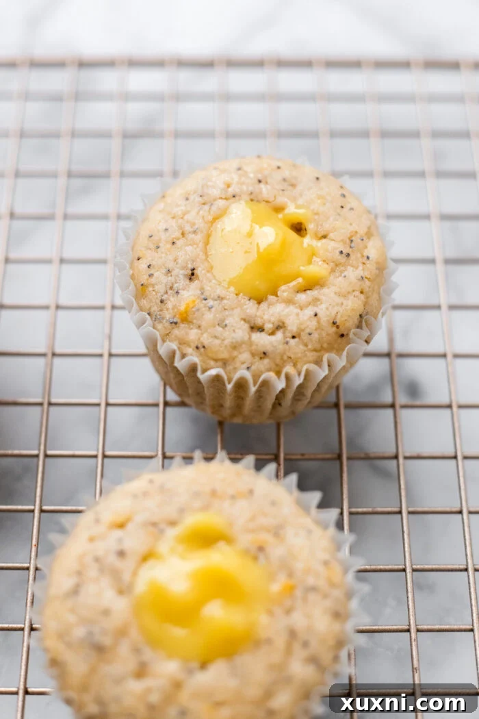 Cooled vegan lemon cupcakes, each with a small cavity carved out and filled with rich lemon curd, arranged on a wire rack.