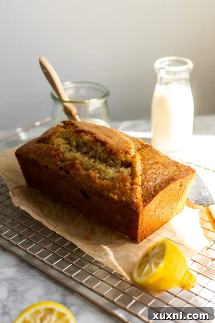 Freshly baked vegan lemon drizzle cake in a loaf pan, golden brown and perfectly risen.