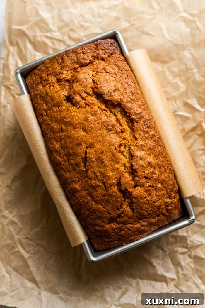 Freshly baked vegan carrot cake loaf cooling on a wire rack.