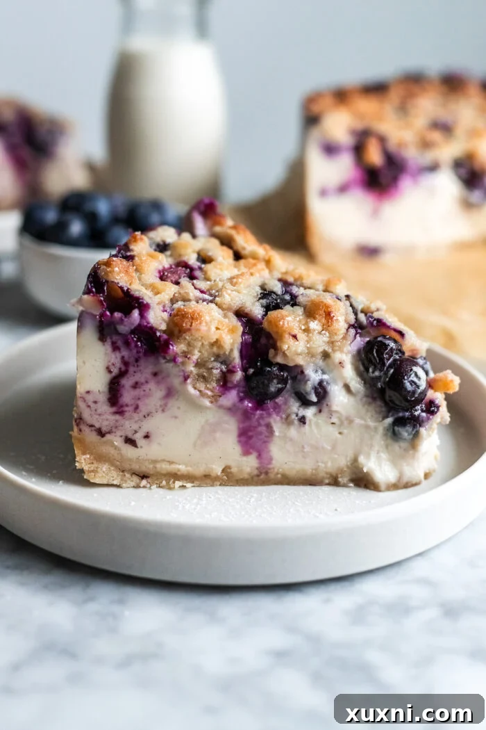 A beautifully sliced portion of vegan blueberry crumble cheesecake on a white plate, showcasing its layers.