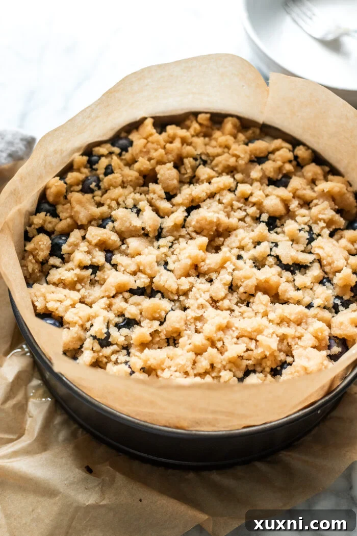 Assembled blueberry crumble cheesecake before baking, showing the crust, filling, blueberries, and crumble topping.