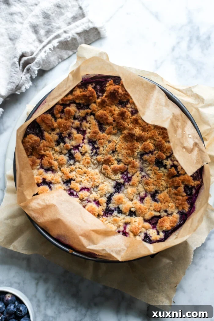 Freshly baked blueberry crumble cheesecake, golden brown and ready to cool.