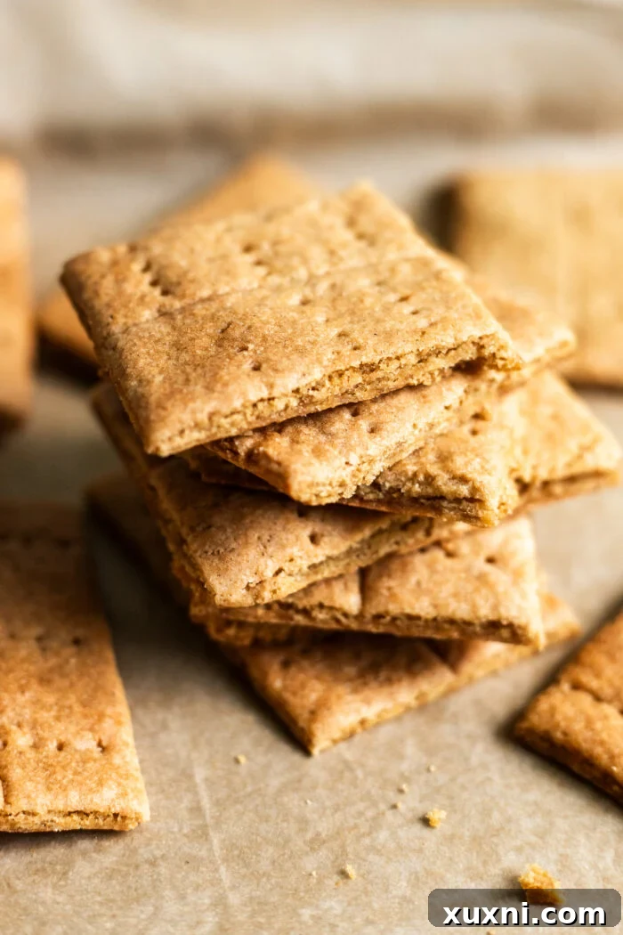 stack of vegan graham crackers