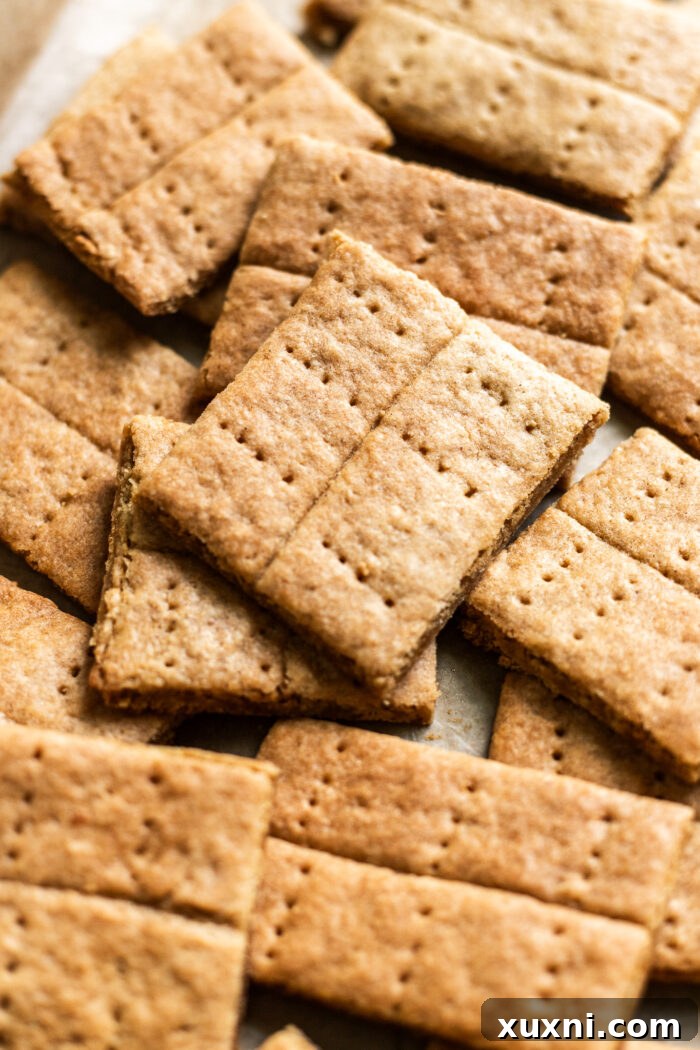 graham crackers on parchment paper