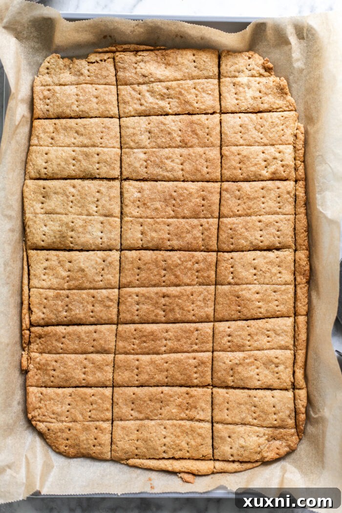 graham crackers after baking