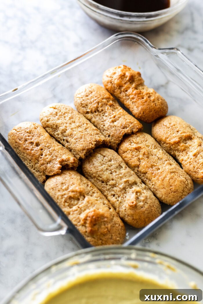 layers of ladyfingers