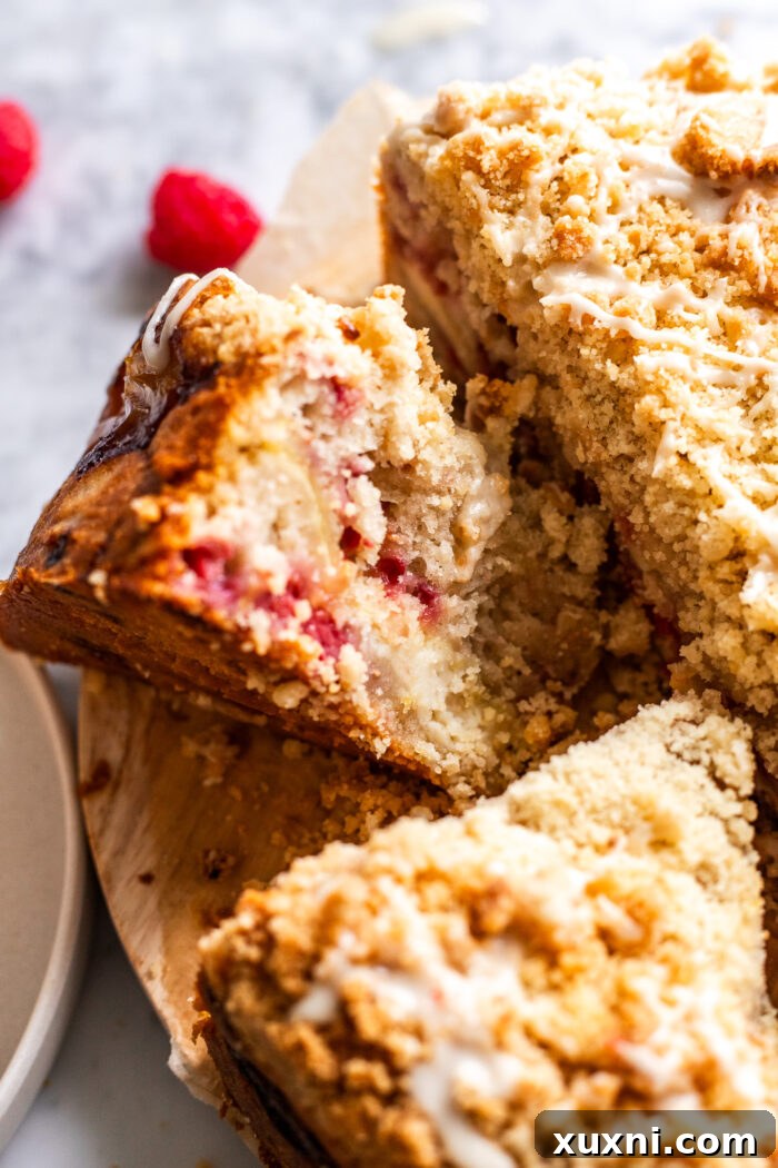 Irresistibly Soft Vegan Lemon Raspberry Coffee Cake with a Zesty Vegan Cream Cheese Swirl 4 A close-up shot of two slices of vegan lemon raspberry coffee cake on a plate, highlighting the crumbly top and the swirled filling.