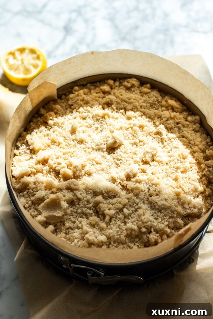 Irresistibly Soft Vegan Lemon Raspberry Coffee Cake with a Zesty Vegan Cream Cheese Swirl 7 The assembled vegan lemon raspberry coffee cake, with its crumble topping, ready to be baked in a springform pan.